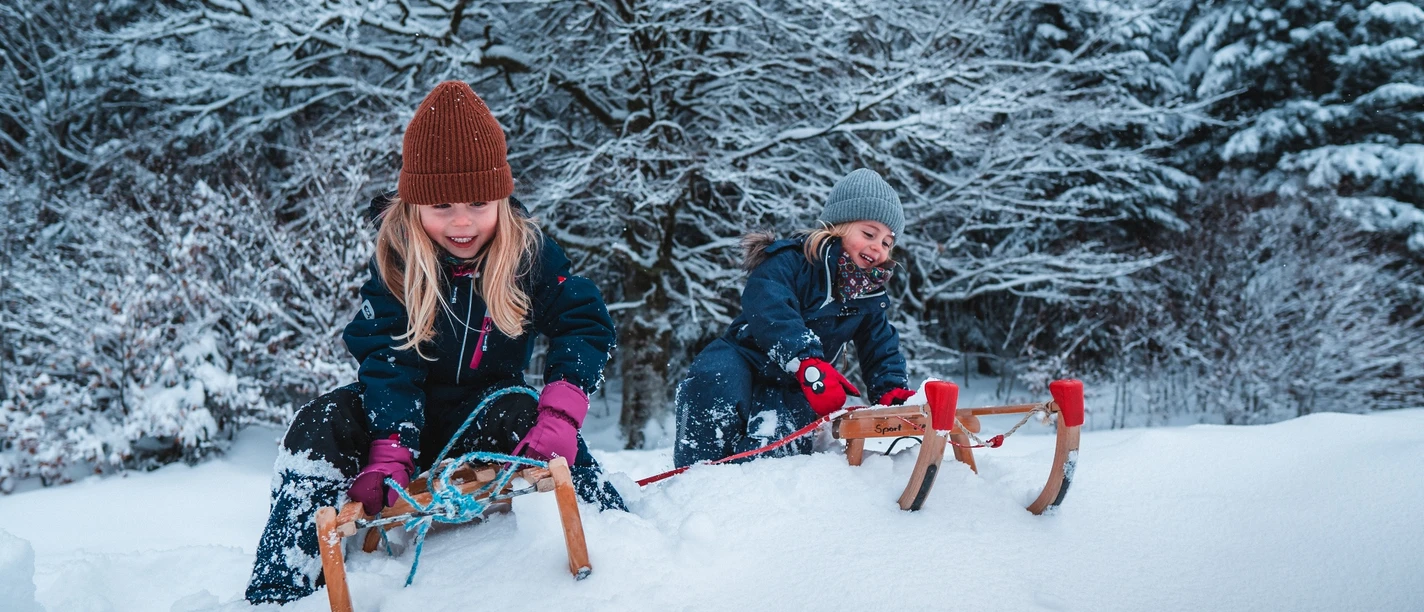 Schlittenfahren am Rodelhand Obertal Buhlbach