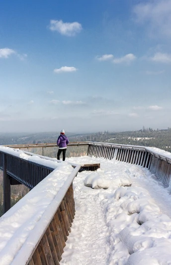 Aussichtsplattform Ellbachseeblick im Winter