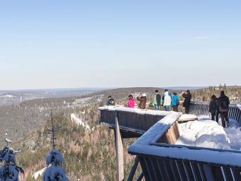 Aussichtsplattform Ellbachseeblick im Winter