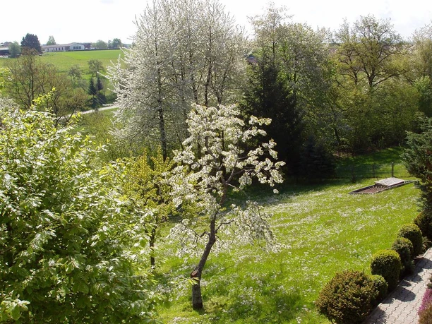 Fruehling