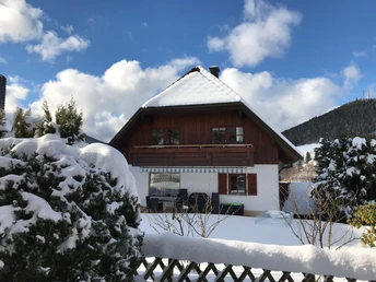 Schwarzwaldferienhaus Andrea Winter