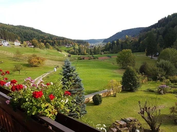 Ausblick Fewo Inge Finkbeiner