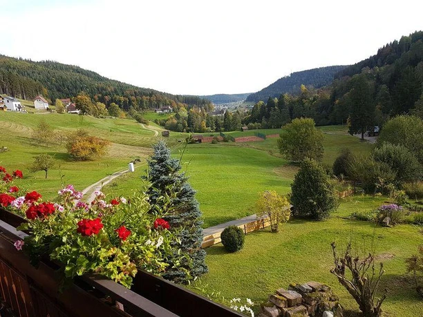 Ausblick Fewo Inge Finkbeiner