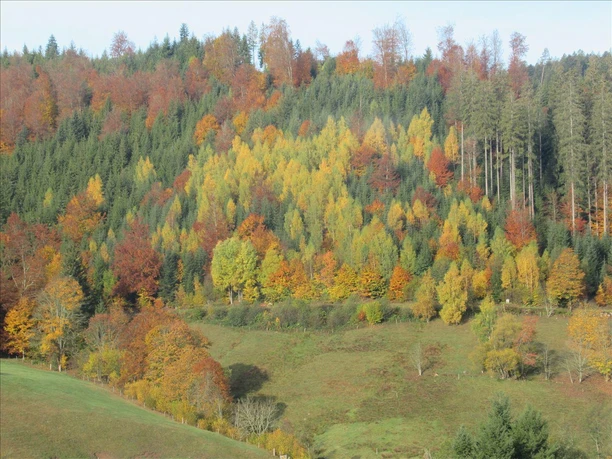 Panorama2 Panorama2