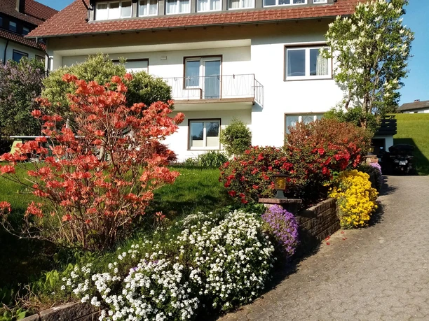 Blühender Garten vor dem Haus