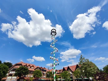 Maibaum auf dem Marktplatz Ein Maibaum steht auf einem Marktplatz, flankiert von Gebäuden und umrahmt von blühenden Bäumen.