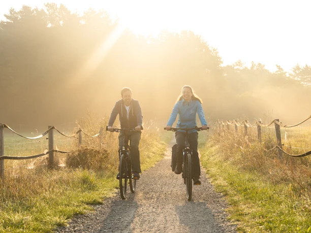 Aller-Radweg bei Bockelskamp Aller cycle path for a great cycle tour along the river