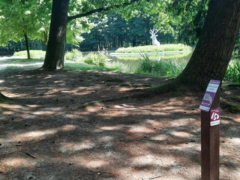 Kurfürsten-Runde; Sögel - Hümmling-Pfade; Infopunkte in der Landschaft © Naturpark Hümmling_Reinhold Stehr.jpg Beschilderter Waldweg am Schlossteich Sögel mit Blick auf Wasserfläche und Skulptur eines weißen Hirsches.