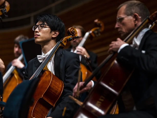 Lucerne Sommer Festival Sommer-Festival