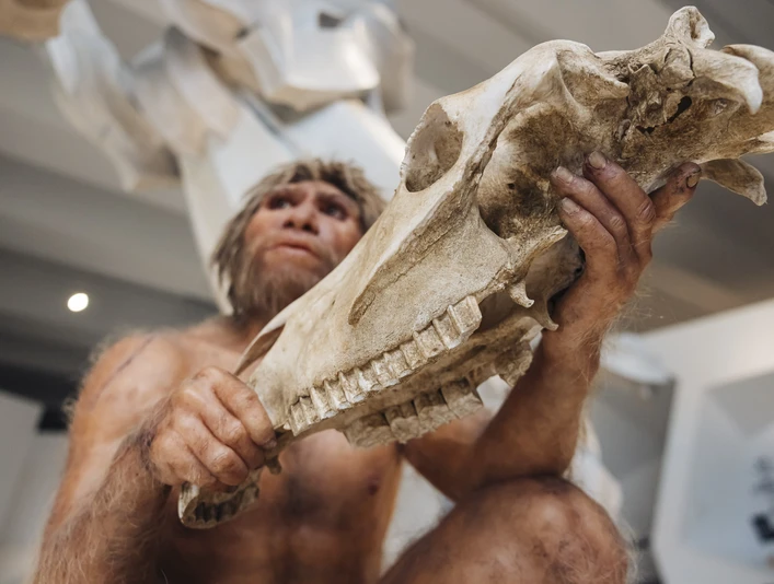 Skulptur eines Homo heidelbergensis im Forschungsmuseum Schöningen