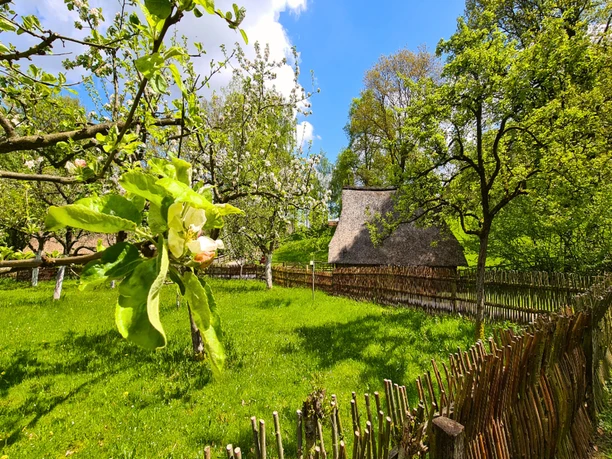 wonderfully preserved buildings at museum kiekeberg on the edge of hamburg