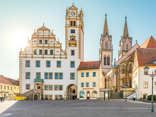 View of the Neumarkt in Oschatz with the town hall and the double-towered St. Aegidien Church in the background in sunshine, Excursion, Leipzig Region