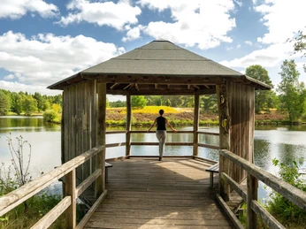 Angelbecksteich bei Hermannsburg Wandern am Angelbecksteich bei HermannsburgHiking at the Angelbeck pond near HermannsburgVandring ved Angelbeck-dammen nær HermannsburgWandelen bij de Angelbeck-vijver bij Hermannsburg