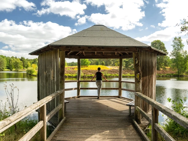 Angelbecksteich bei Hermannsburg Wandern am Angelbecksteich bei Hermannsburg