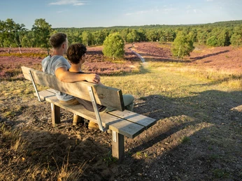 Rast bei der Wanderung auf dem Brunsberg Pause bei der Wanderung auf dem Wanderweg auf dem Brunsberg bei SprötzeBreak during the hike on the hiking trail on the Brunsberg near SprötzePause under vandreturen på vandrestien på Brunsberg nær SprötzePauze tijdens de wandeling op het wandelpad op de Brunsberg bij Sprötze