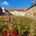 Sonnenschloss Walbeck mit Blumenwiese Sonnenschloss Walbeck mit Blumenwiese