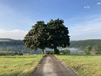 Aussichtspunkt Almetalblick | Büren Aussichtspunkt Almetalblick | Büren