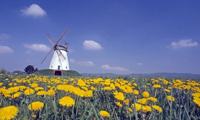 Windmühle Veltheim Windmühle Veltheim