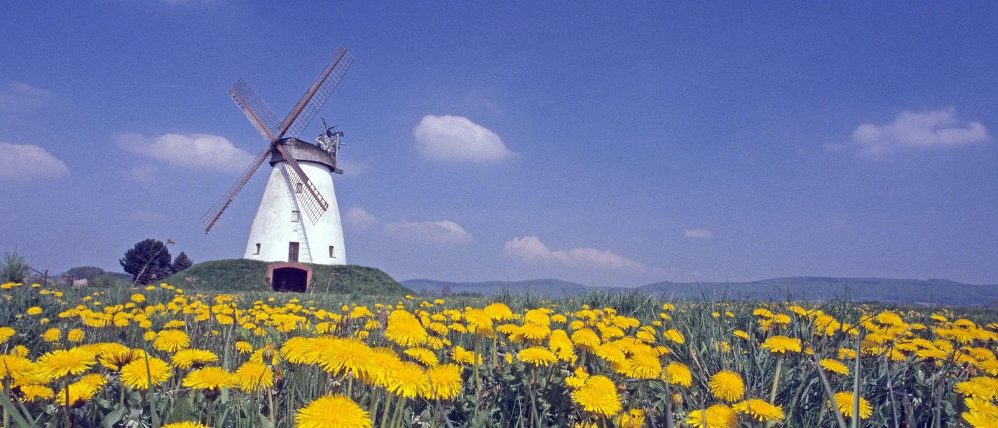 Windmühle Veltheim Windmühle Veltheim