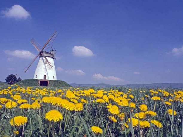 Windmühle Veltheim Windmühle Veltheim