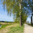 Dalke Wassererlebnispfad (6).JPG Ein idyllischer, baumbestandener Weg im Frühling, flankiert von einem ruhigen Fluss unter blauem Himmel.