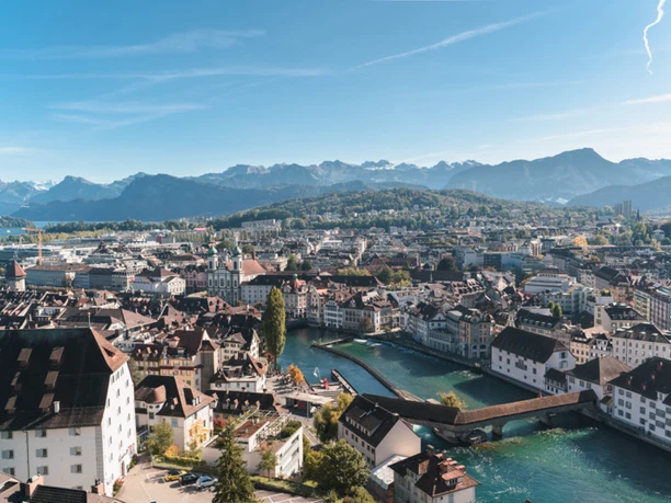 View Musegg Wall View Musegg Wall