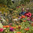 Radtour Horn-Bad Meinberg, LWL, Detmold 1.jpg Ein Paar sitzt auf einer Bank in einem farbenfrohen Blumenfeld und genießt den Sommertag.