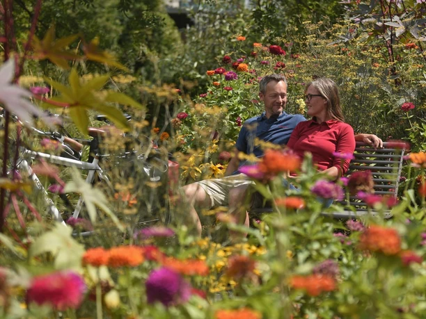 Radtour Horn-Bad Meinberg, LWL, Detmold 1.jpg Ein Paar sitzt auf einer Bank in einem farbenfrohen Blumenfeld und genießt den Sommertag.