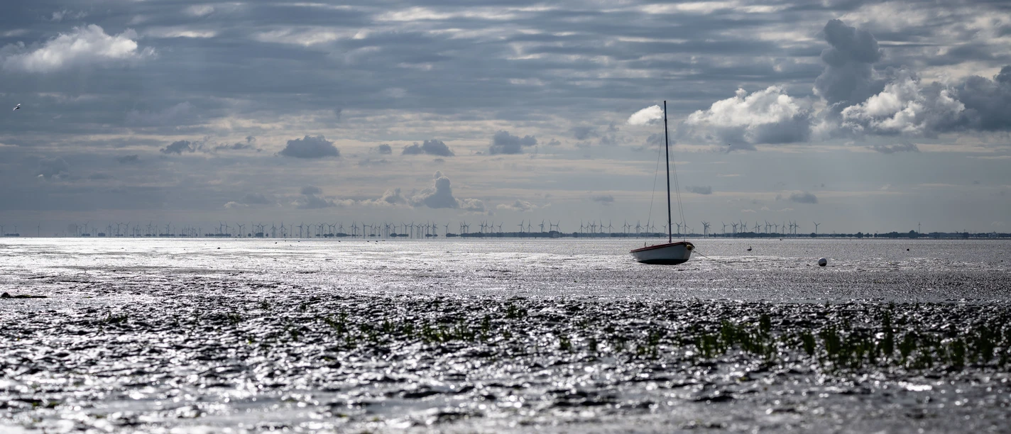 Wattenmeer auf Juist.jpg Wattenmeer auf Juist