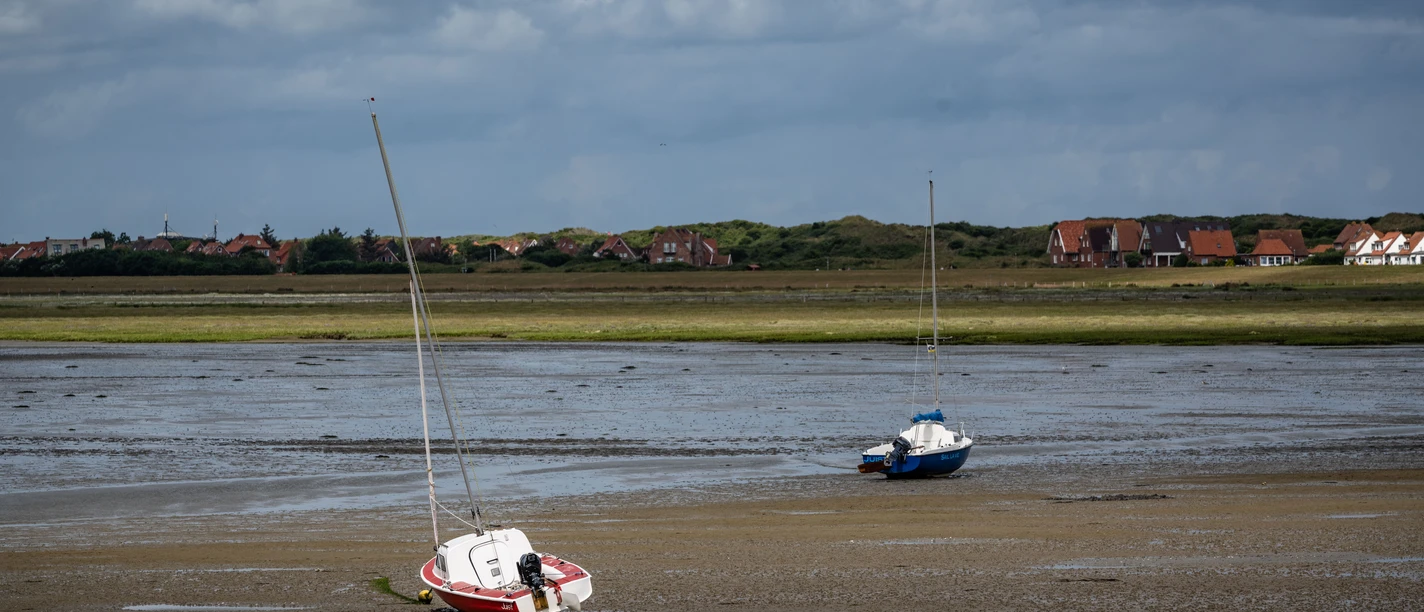 Wattenmeer auf Juist.jpg Wattenmeer auf Juist