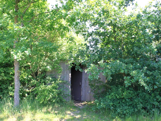 Eingang zur Vogelbeobachtungshütte in Stemmen Eingang zur Vogelbeobachtungshütte in Stemmen