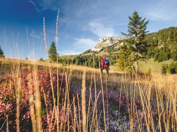 Herbst_Landschaft_Moor_Moorlandschaft_Boeli_Schrattenfluh_Wandern_Mensch_Soerenberg_FELDERVOGEL_10_18 (14).jpg