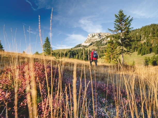 Herbst_Landschaft_Moor_Moorlandschaft_Boeli_Schrattenfluh_Wandern_Mensch_Soerenberg_FELDERVOGEL_10_18 (14).jpg