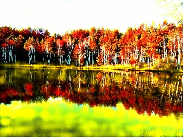 Bunter See Einein gemaltes Bild: idyllischer See reflektiert herbstlich gefärbte Bäume, die in warmen Rottönen erstrahlen.