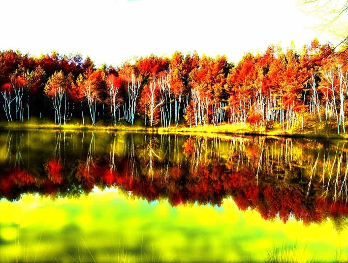 Bunter See Einein gemaltes Bild: idyllischer See reflektiert herbstlich gefärbte Bäume, die in warmen Rottönen erstrahlen.
