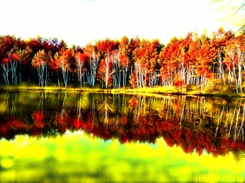 Bunter See Einein gemaltes Bild: idyllischer See reflektiert herbstlich gefärbte Bäume, die in warmen Rottönen erstrahlen.
