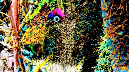 Er hatte sich gut versteckt - Kopie.jpg Ein Baumstamm, mit leuchtend grüner Farbe und bunten Elementen dekoriert, versteckt sich im dichten Gestrüpp.