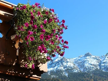 Gästehaus im Gries Gartenblick Signalkopf