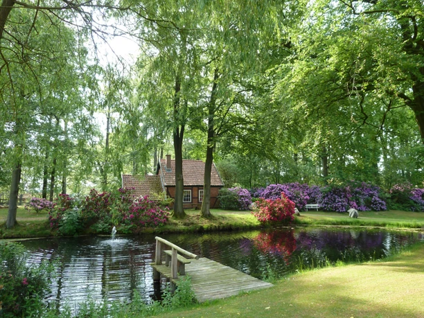 Der Teich Kleiner Teich mit Holzsteg in einem grünen Garten, umgeben von blühenden Rhododendronbüschen und hohen Bäumen. Im Hintergrund steht ein rotes Backsteinhaus mit Ziegeldach, das von Sonnenlicht durch das Blätterdach beleuchtet wird.