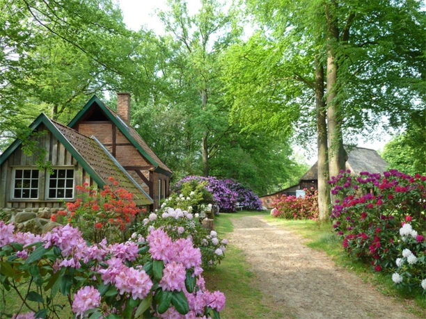 Das Backhaus mit Pferdestall Ein historisches Backhaus mit Fachwerk, rotem Ziegeldach und gemauertem Schornstein steht am Rand eines Blumenwegs, der von üppig blühenden Rhododendren und hohen Bäumen gesäumt wird. Im Hintergrund liegt ein reetgedeckter Pferdestall, eingebettet in eine grüne, naturreiche Umgebung des Lüneburger Landes.