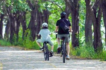 Mit der Familie durch Horn-Bad Meinberg radeln 1.jpg Zwei Radfahrer, ein Erwachsener und ein Kind, fahren auf einer von Bäumen gesäumten, sonnigen Allee.