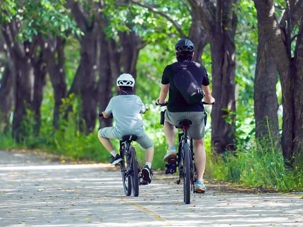 Mit der Familie durch Horn-Bad Meinberg radeln 1.jpg Zwei Radfahrer, ein Erwachsener und ein Kind, fahren auf einer von Bäumen gesäumten, sonnigen Allee.