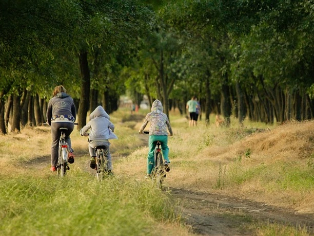 Mit der Familie durch Horn-Bad Meinberg radeln 2.jpg Familie fährt mit Fahrrädern auf einem Waldweg durch eine herbstliche Landschaft, umgeben von Bäumen.