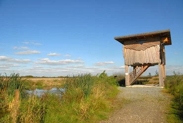 beobachtungsturm-polder-glies.jpg