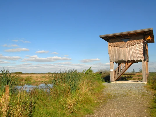 beobachtungsturm-polder-glies.jpg