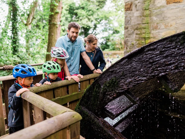 Thorsten-Hennig-Fotografie-Fahrradtouren-Hövelhof-2019-A9_06496.jpg Familie mit drei Kindern beobachtet ein altes Wasserrad in Hövelhof, alle tragen bunte Radhelme.