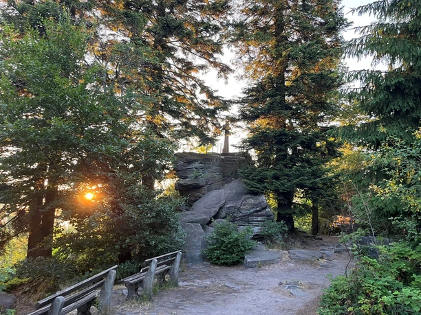 Bernstein Caroline Moser klein