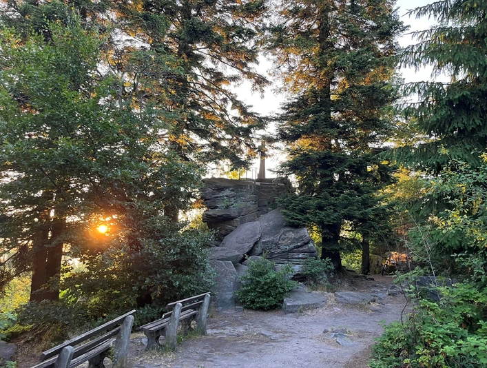 Bernstein Caroline Moser klein