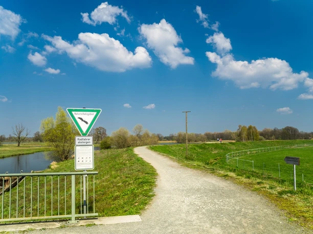 Alpakawanderung am Steinhorster Becken | Delbrück