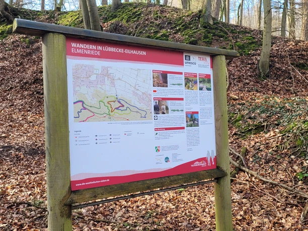 Wiehengebirge Eilhausen Wanderweg-Tafel im herbstlichen Laubwald des Wiehengebirges bei Eilhausen mit Infokarten.